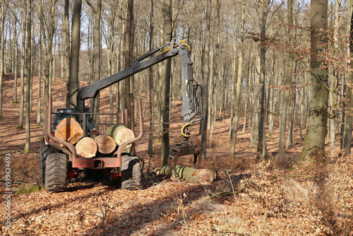 Holzrückung mit Holzrückeanhänger und Kran