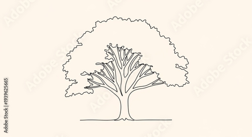 Elegant Line Drawing of a Mature Tree.