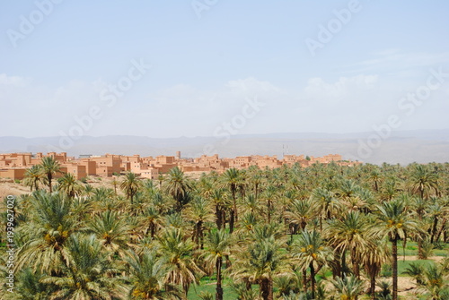 Aerial view of a Oasis in desert, UAE