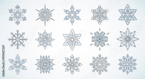 Collection of Various Snowflakes with Unique Patterns.