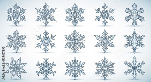 Collection of Various Snowflakes with Unique Patterns.