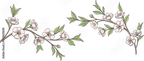 Beautiful cherry blossom branches with green leaves and pink flowers