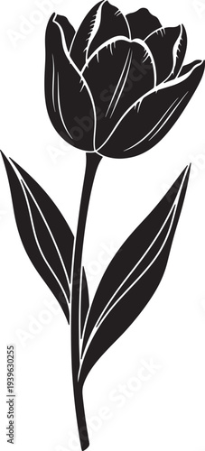 Black silhouette of a single tulip flower with long stem and leaves also transparent background single flower