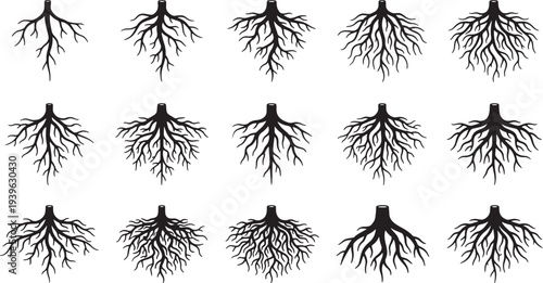 Grid of black tree roots silhouettes on white background also transparent background