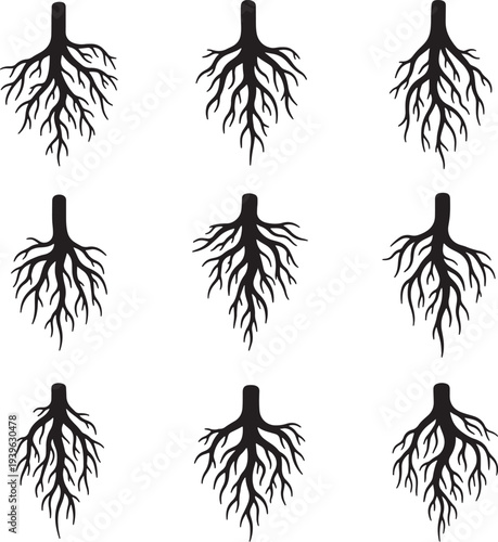 Nine black tree root silhouettes arranged in a grid pattern on a white background also transparent background