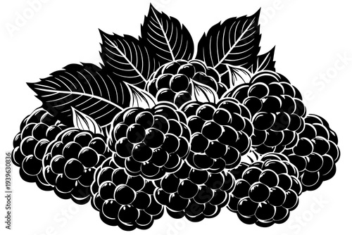 Elegant black and white blackberry illustrative design with detailed leaves and plump berries, capturing nature's beauty in monochromatic artistic style