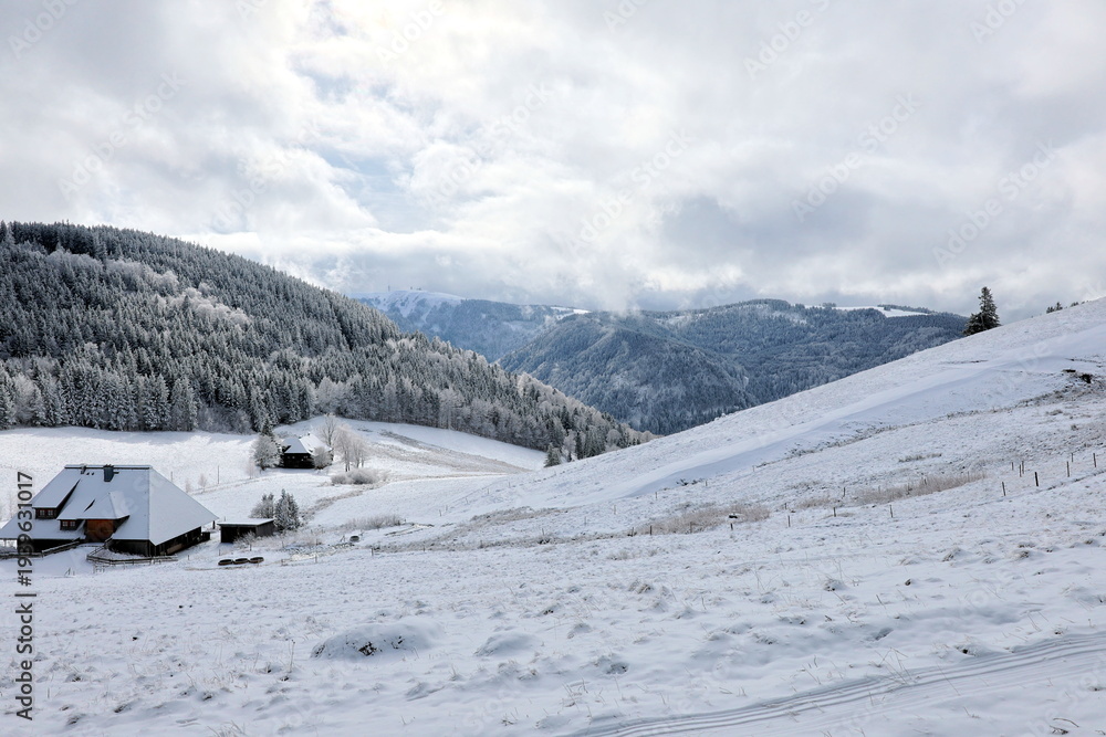 Naklejka premium Winterlandschaft auf dem Hinterwaldkopf bei Freiburg im Breisgau