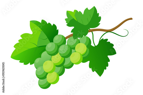 Vibrant green grapes with lush leaves on vine illustrating freshness and nature's bounty in a minimalistic art style