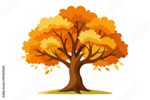 Vibrant autumn tree with orange and yellow foliage on white background depicting seasonal change and natural beauty