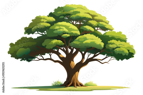 Majestic oak tree with lush green leaves and sturdy trunk on white background highlighting natural beauty and serenity