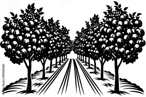 Orchard pathway with lush fruit-laden trees in symmetrical rows for agricultural and nature design inspiration