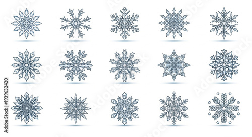 Collection of Various Snowflakes with Unique Patterns.
