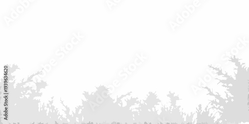 Silhouetted trees against a bright almost white sky