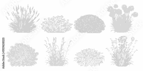Collection of grayscale botanical illustrations depicting various plant forms