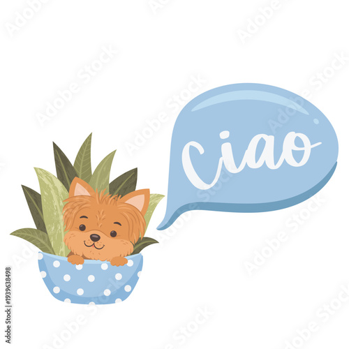 Cute yorkshire terrier dog hiding in the flower pot. English translation for Ciao is Hello