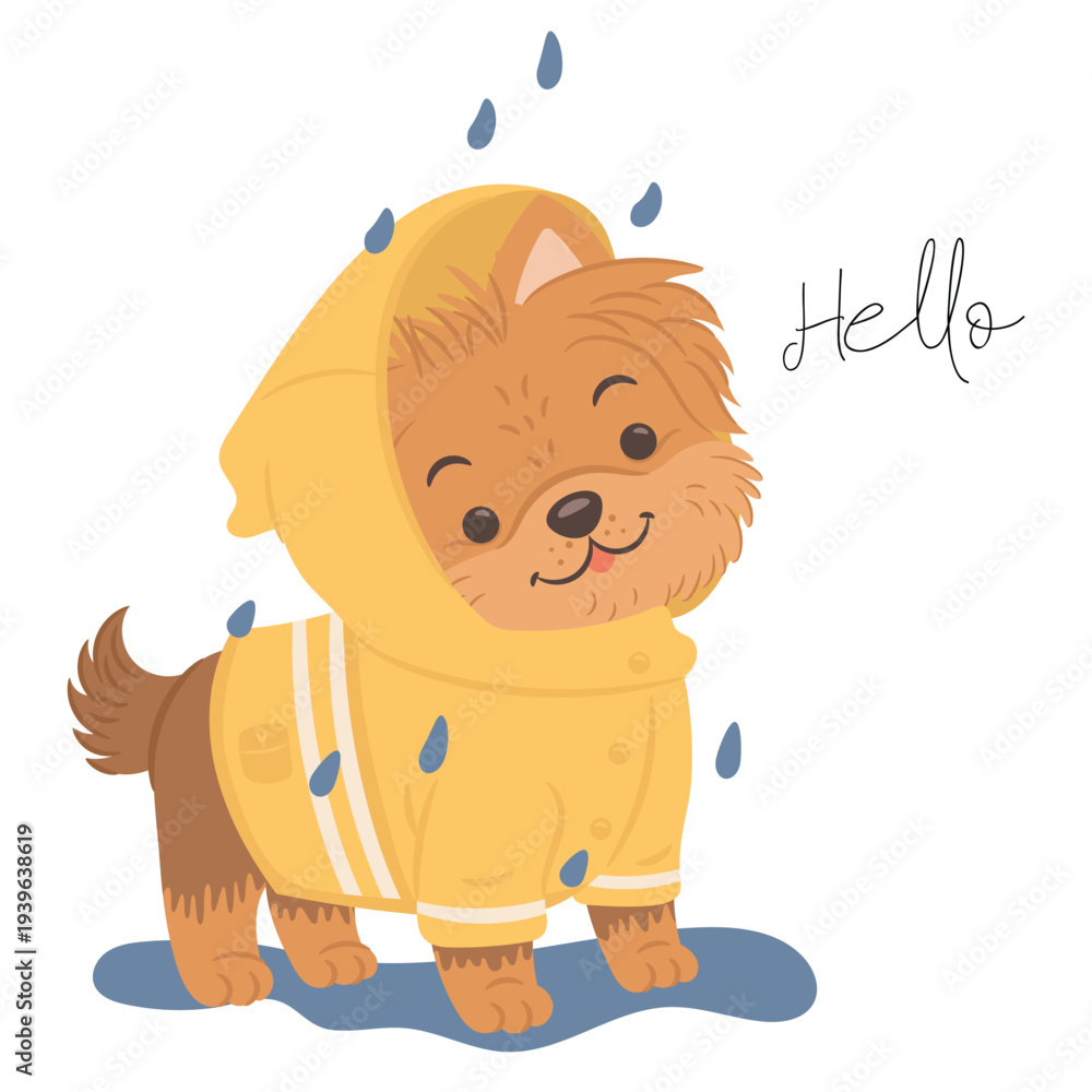 Fototapeta premium Cute yorkshire terrier dog wearing yellow rain coat.