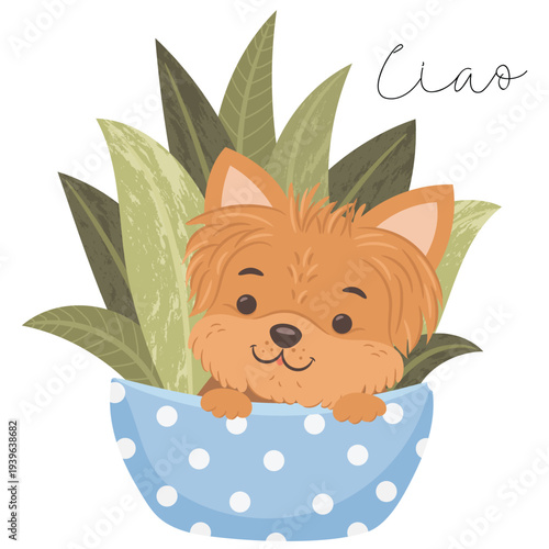 Cute yorkshire terrier dog hiding in the flower pot. English translation for Ciao is Hello