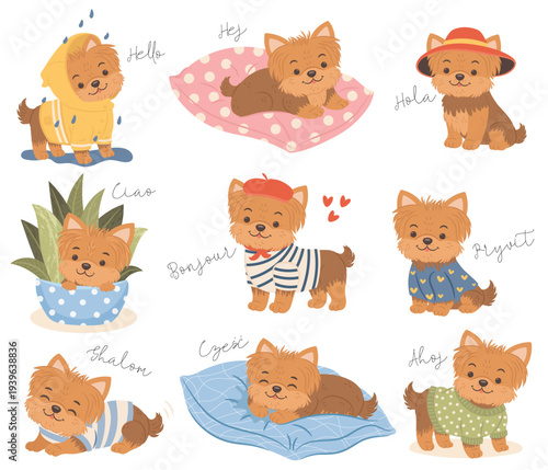 Set of cute yorkshire terrier puppy illustrations in different poses and outfits. English translation for - Shalom, Hallo, Ciao, Ahoj, Czesc, Aloha, Hola, Pryvit, Sveiki, Tere, Bonjour - is Hello.