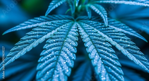 Detailed Cannabis Leaf Texture in Natural Green