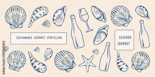 Hand drawn illustration of seashells wine and marine life elements