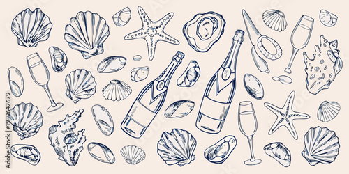 Sketch of seashells champagne bottles and glassware on a beige background