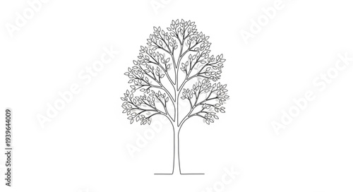 Detailed Illustration of a Leafless Tree with Branches.