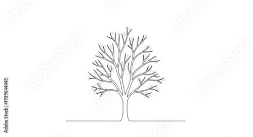 Minimalist Tree Illustration with Branches and No Leaves.