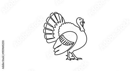 Turkey Outline Drawing, Thanksgiving Bird, Farm Animal Icon