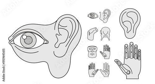 Abstract Human Anatomy Elements: Eye, Ear, Hand, and Prosthetic
