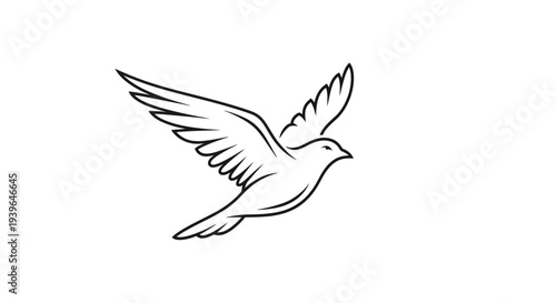 Dove Bird Flying Line Art Vector Graphic