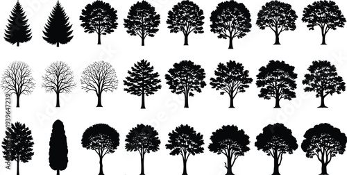 Vector set of black tree silhouettes including pine deciduous and oak trees with bare winter branches isolated on white background.