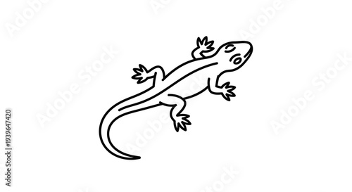 Hand-drawn Lizard Illustration - Minimalist Black and White Line Art