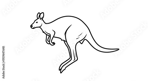 Kangaroo Outline Drawing, Australian Animal Silhouette, Jumping Marsupial