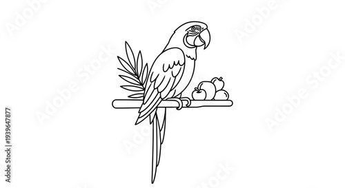Line Art Parrot Sitting on Perch with Fruit, Tropical Bird Illustration