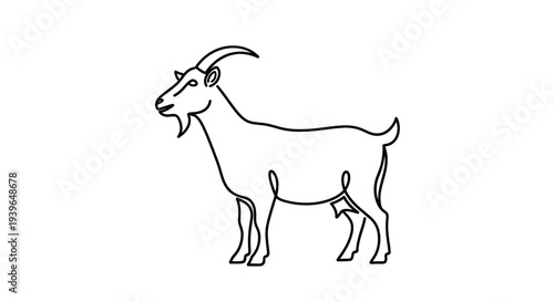 Minimalist Line Art Goat Illustration