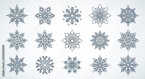 Collection of Various Snowflakes with Unique Patterns.