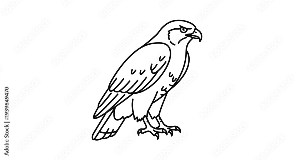 Fototapeta premium Outline drawing of a proud falcon perched on white background