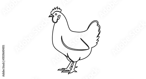 Outline of a Chicken, Simple Line Art, Isolated on White Background