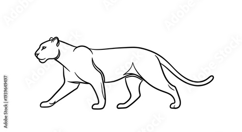Panther outline drawing, walking wild cat, elegant predator, simple line art