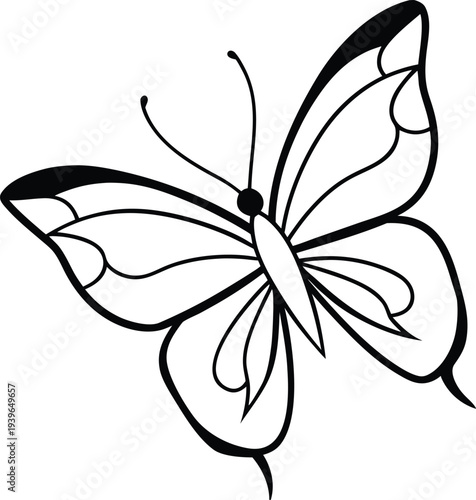 Adobe Illustrator Artwork  Minimal outline butterfly line art vector set
