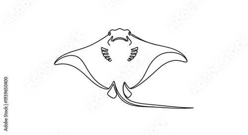 Stingray outline illustration, marine animal, simple line art, isolated on white