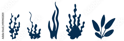 Hand drawn set of underwater seaweed and aquatic plants in bold minimal style, perfect for marine patterns, aquarium branding, packaging, children’s designs and ocean themed illustrations