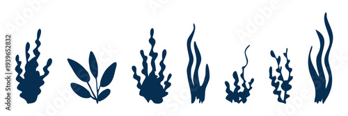 Hand drawn set of underwater seaweed and aquatic plants in bold minimal style, perfect for marine patterns, aquarium branding, packaging, children’s designs and ocean themed illustrations