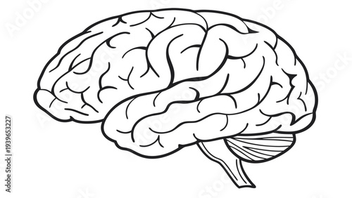 Solid brain simple flat human brain symbol flat simple black and white line solid fill