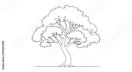 Detailed Line Drawing of a Mature Tree with Full Canopy.