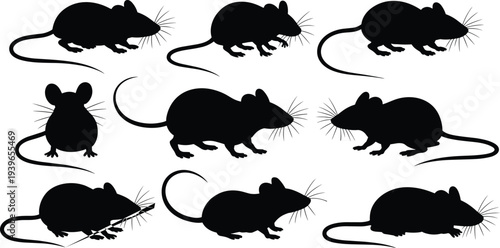 rat silhouette set, mouse silhouette collection, rodent pest vector illustration, black animal icons, isolated wildlife shapes for design clipart bundle