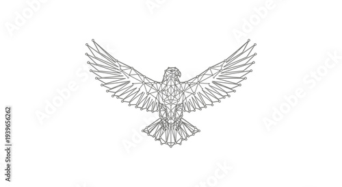 Detailed Illustration of Eagle in Flight.
