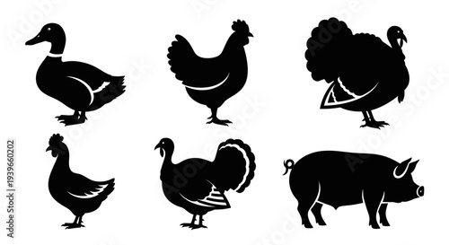 Farm Animals Silhouettes Set: Duck, Chicken, Turkey, and Pig Icons Collection