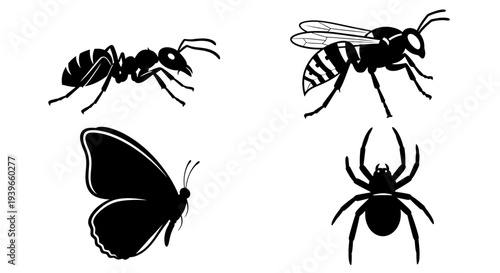 Insect and Arachnid Silhouettes: Ant, Wasp, Butterfly, and Spider Icons