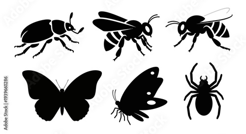 Insect and Bug Silhouettes Collection: Beetle, Bees, Butterflies, and Spider Icons